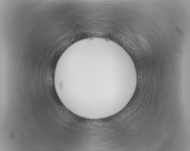 X0000116151058200912211504