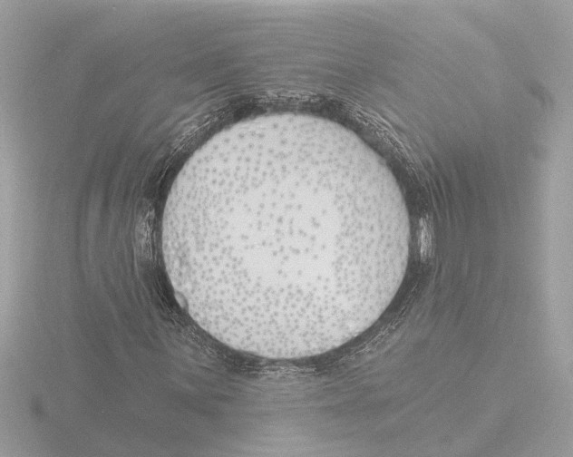 X0000116151059200912211504