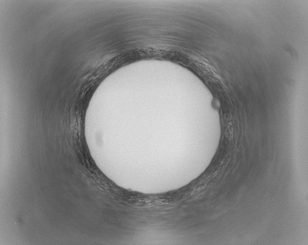 X0000116151061200912211504