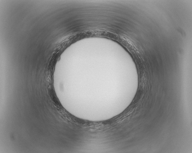 X0000116151062200912211504