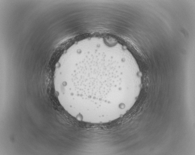 X0000116151063200912211504