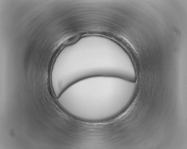 X0000116151065200912211504