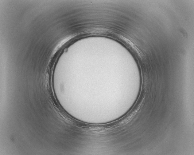 X0000116151066200912211504