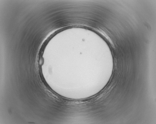 X0000116151068200912211504