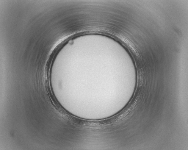 X0000116151070200912211504