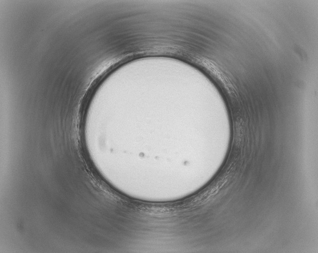 X0000116151071200912211504