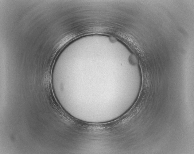 X0000116151073200912211504