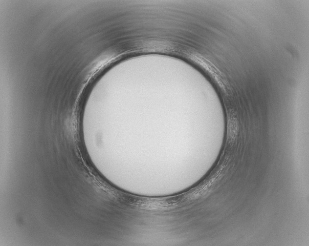 X0000116151074200912211504