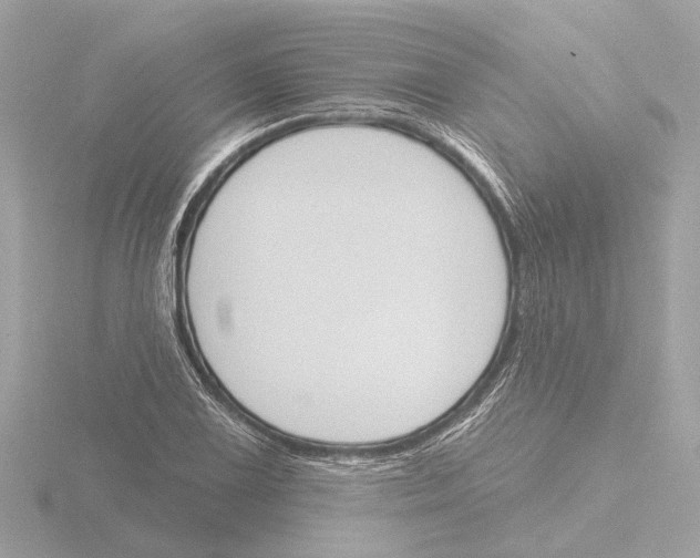 X0000116151075200912211504