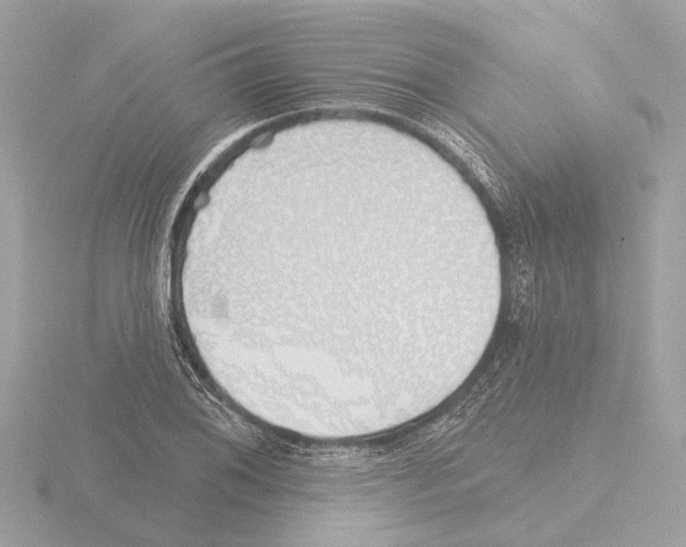 X0000116151076200912211504