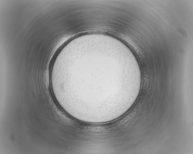 X0000116151079200912211504