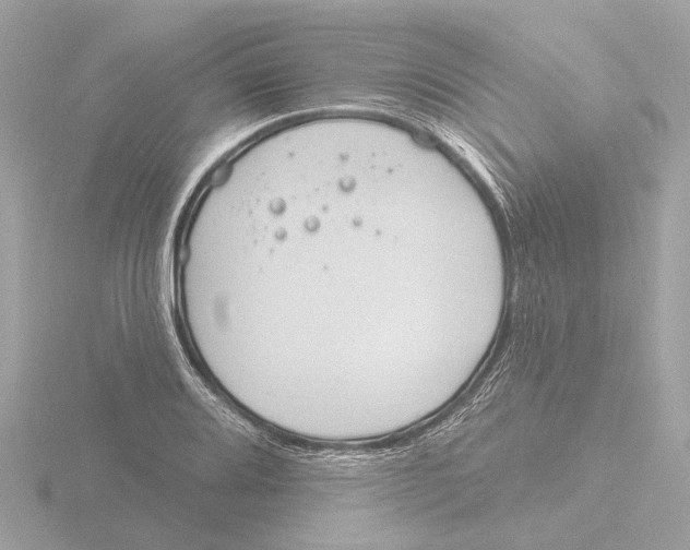 X0000116151080200912211504