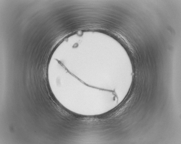 X0000116151081200912211504