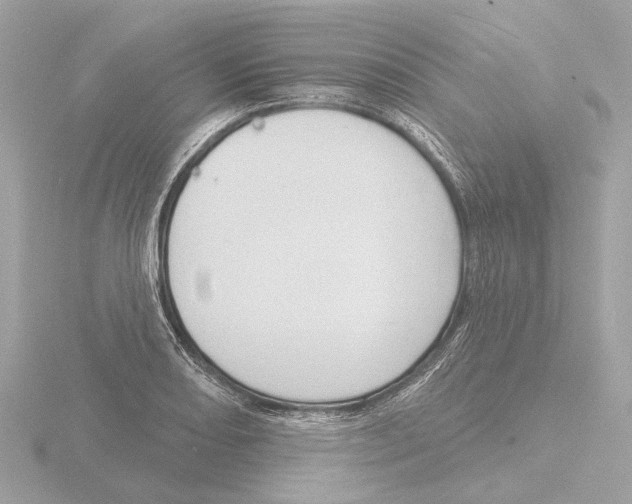 X0000116151082200912211504