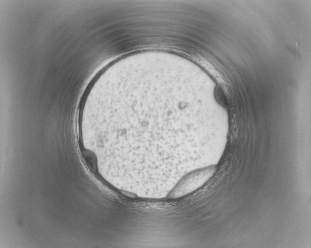 X0000116151084200912211504