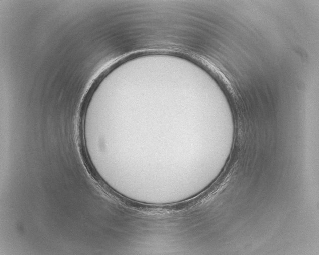 X0000116151085200912211504