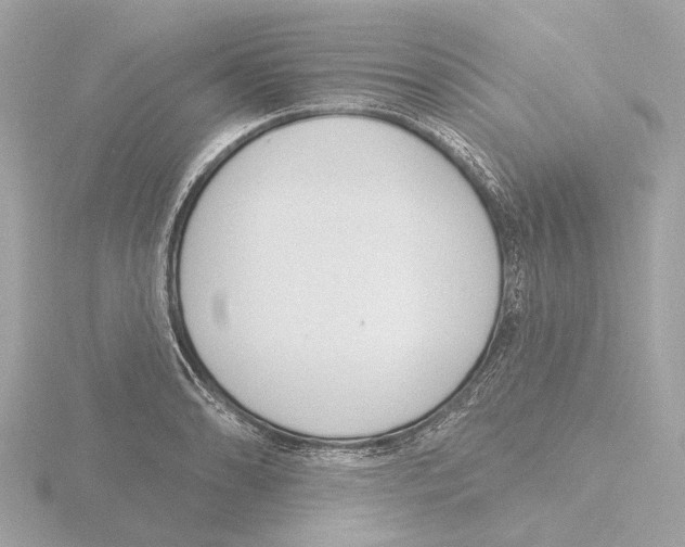 X0000116151086200912211504