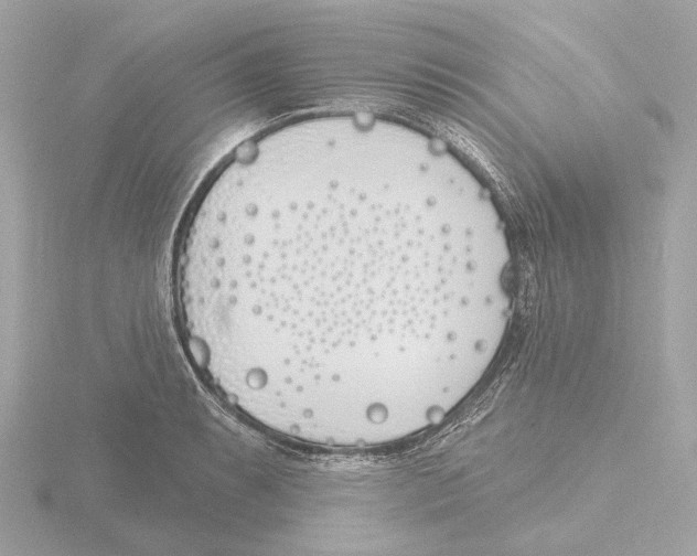 X0000116151087200912211504