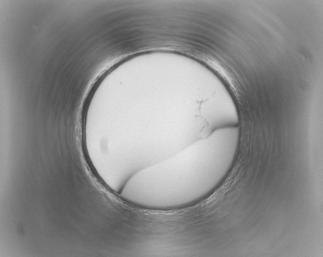 X0000116151088200912211504