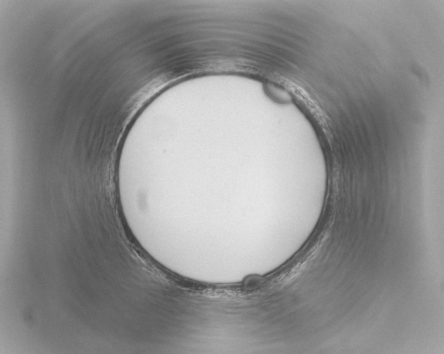 X0000116151089200912211504