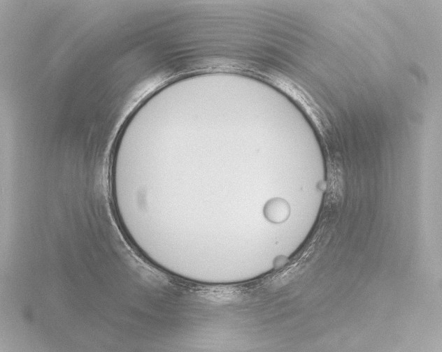 X0000116151090200912211504