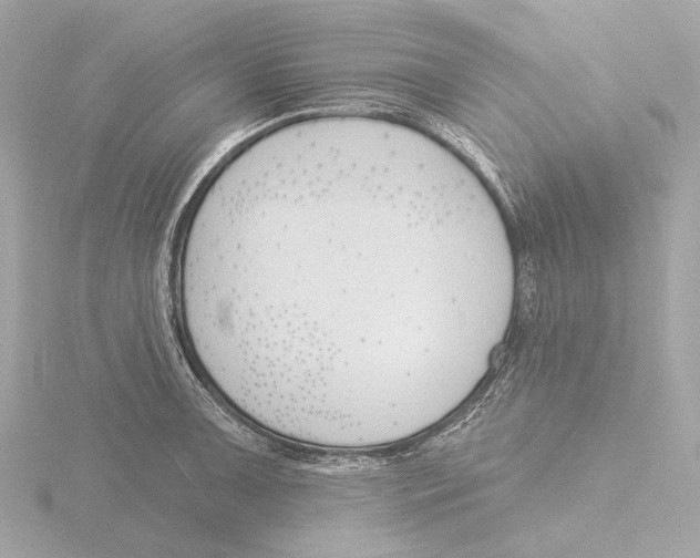 X0000116151091200912211504