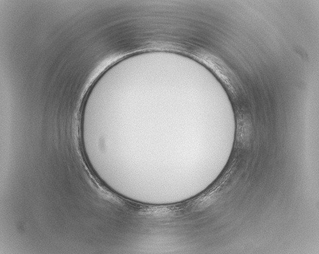 X0000116151094200912211504