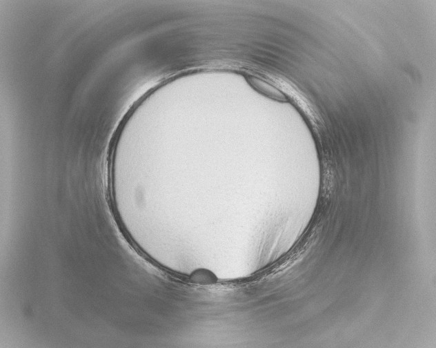 X0000116151095200912211504