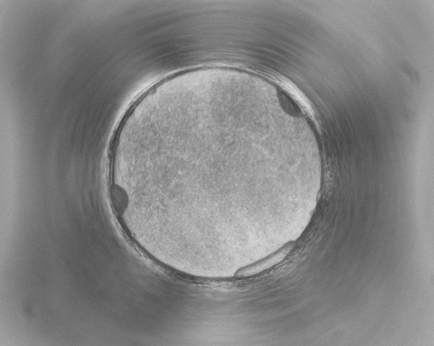 X0000116151096200912211504