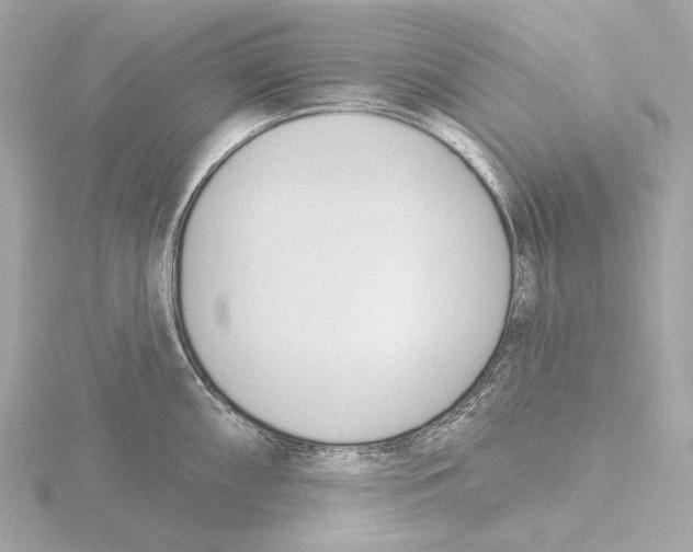 X0000116151098200912211504