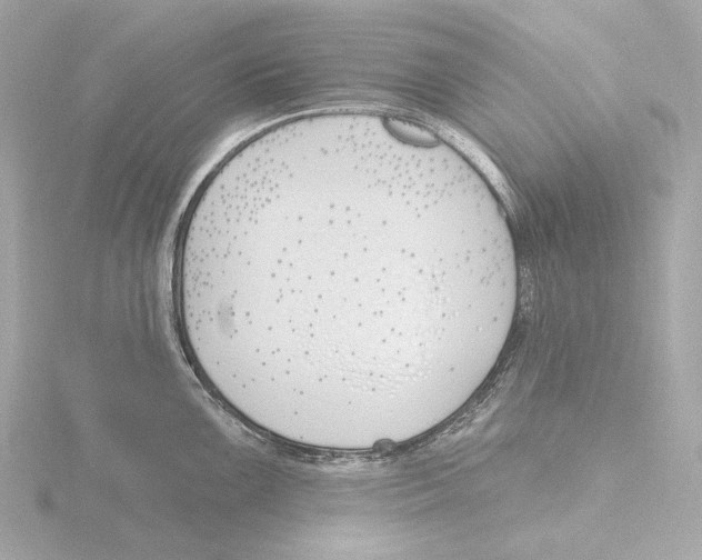 X0000116151099200912211504