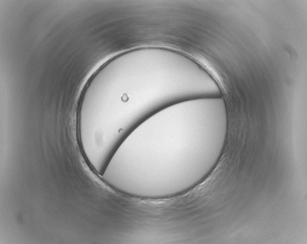 X0000116151100200912211504