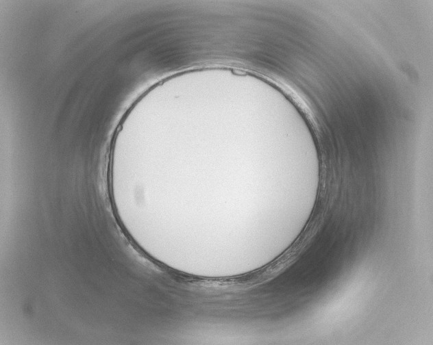 X0000116151102200912211504