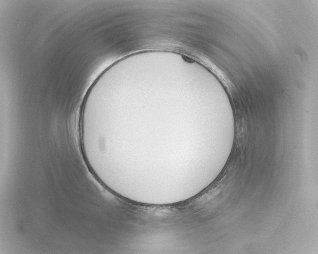 X0000116151103200912211504