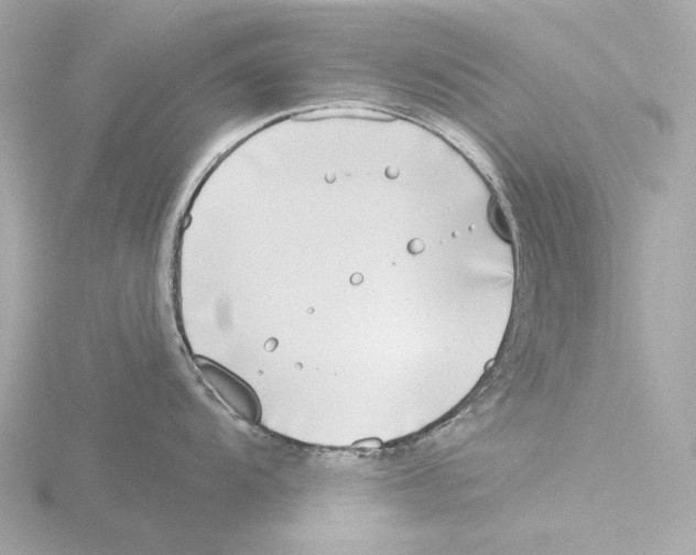 X0000116151104200912211504