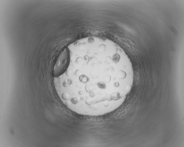 X0000116151105200912211503