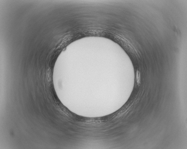 X0000116151107200912211503