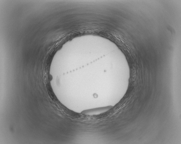 X0000116151109200912211503