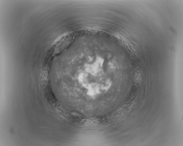 X0000116151110200912211503