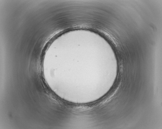 X0000116151117200912211503