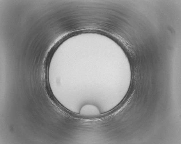 X0000116151118200912211503