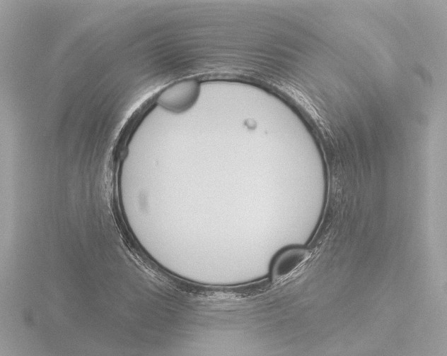 X0000116151119200912211503