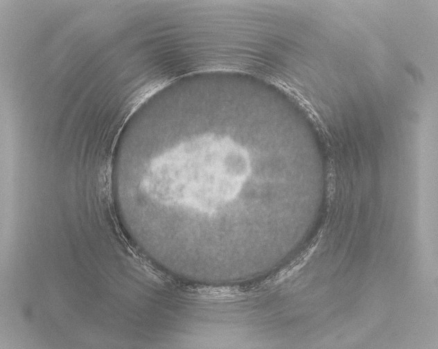 X0000116151121200912211503