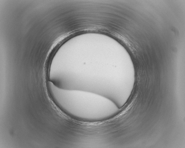 X0000116151122200912211503