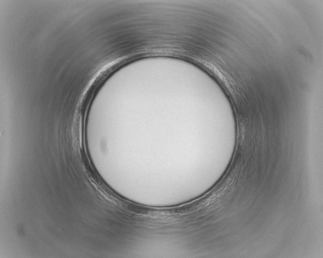 X0000116151123200912211503