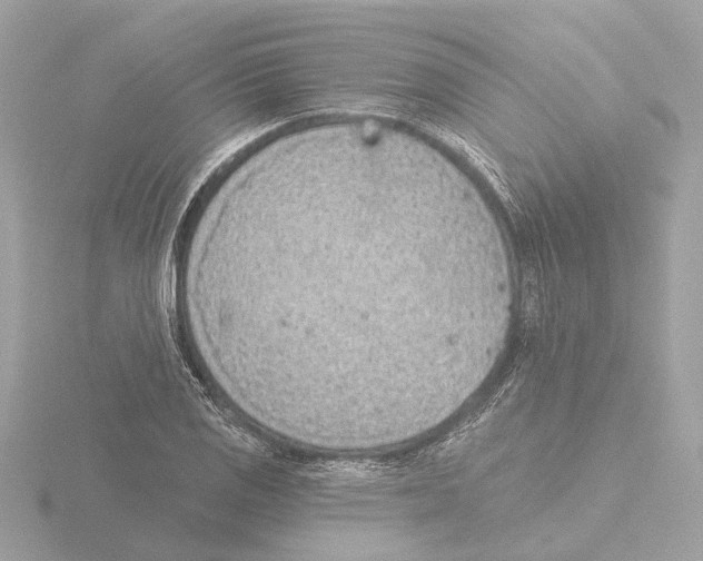 X0000116151125200912211503