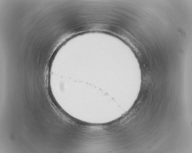 X0000116151126200912211503