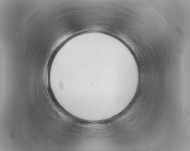 X0000116151127200912211503