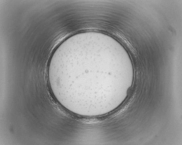 X0000116151129200912211503