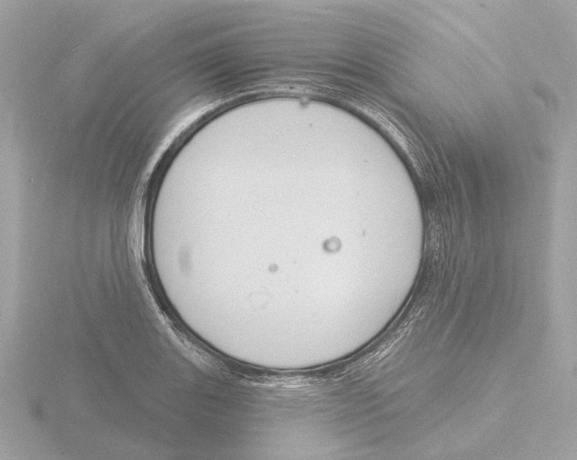 X0000116151131200912211503